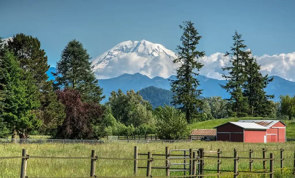 Mount Rainier beyond a farm near Enumclaw, Washington