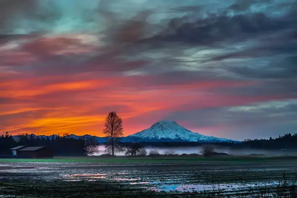 Mount Rainier beyond farmland near Graham, Washington