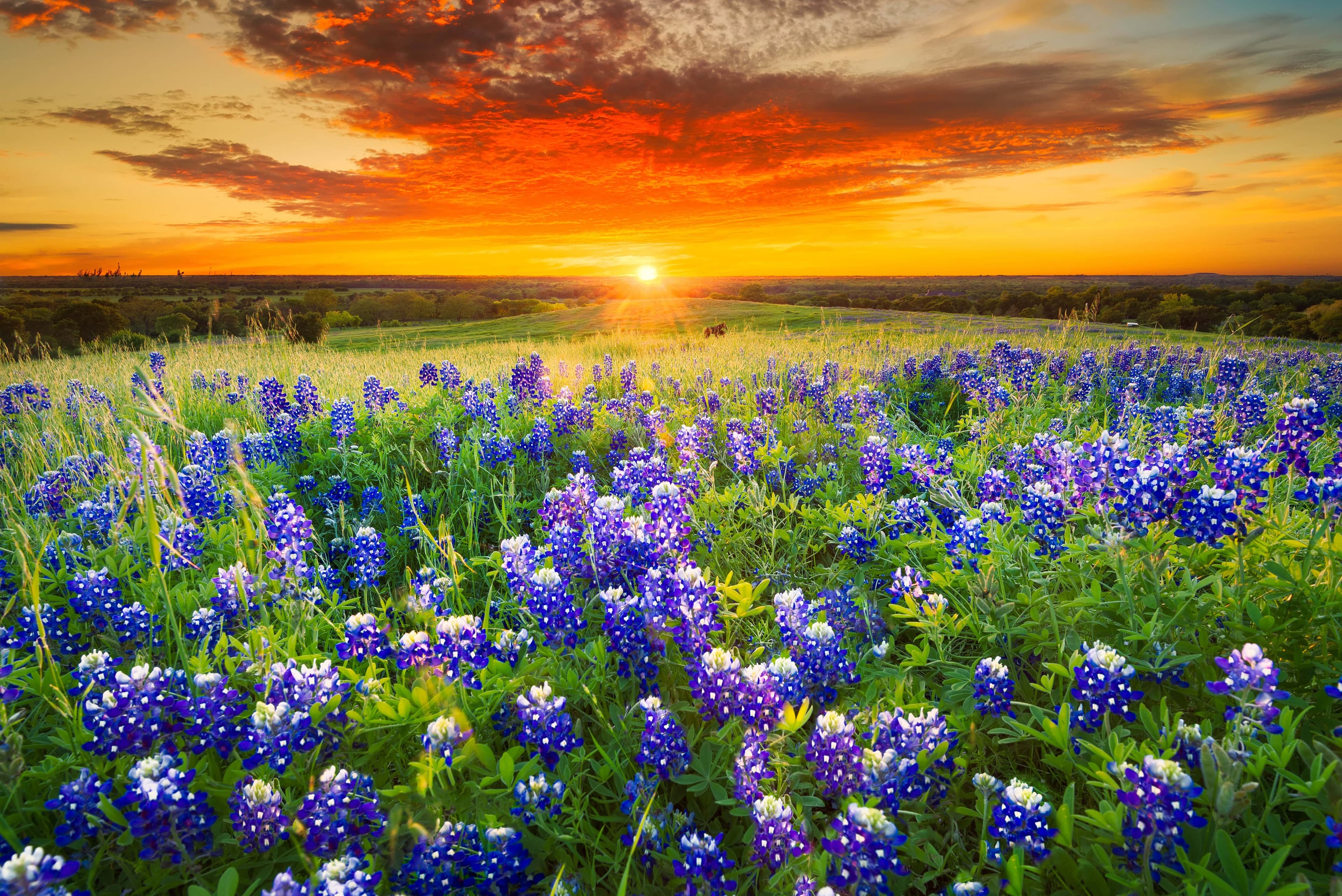 Little Elm, Texas city view